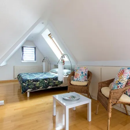 Cosy Strasbourg 4* Mundolsheim