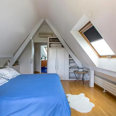 Cosy Strasbourg Hotel 4*